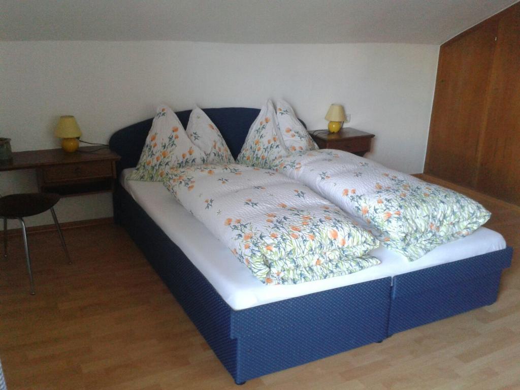 Haus Elisabeth Appartement Mittersill Buitenkant foto